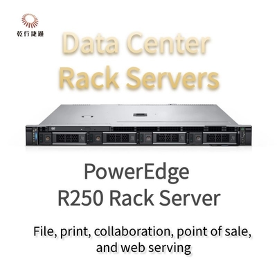 1U PowerEdge R250 ラックサーバープレミアムカスタマイズ