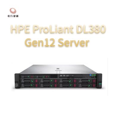 HPE ProLiant Compute DL380 Gen12 ラックストレージサーバー,カスタムストレージサーバー,2wayサーバー