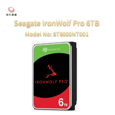 Seagate Ironwolf Pro 6TB モデル番号: ST6000NT001